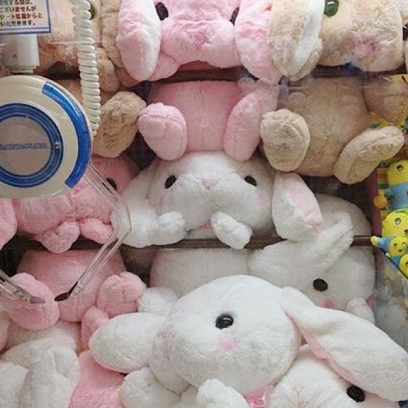 Meet your Posher, Kayla - Picture 1 of 1